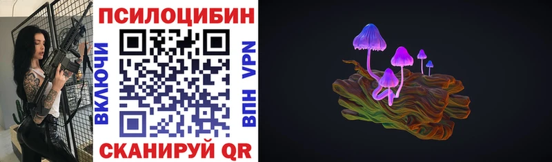 omg маркетплейс  магазин продажи наркотиков  Княгинино  Псилоцибиновые грибы прущие грибы 
